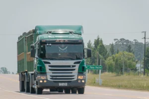 expert poids lourds